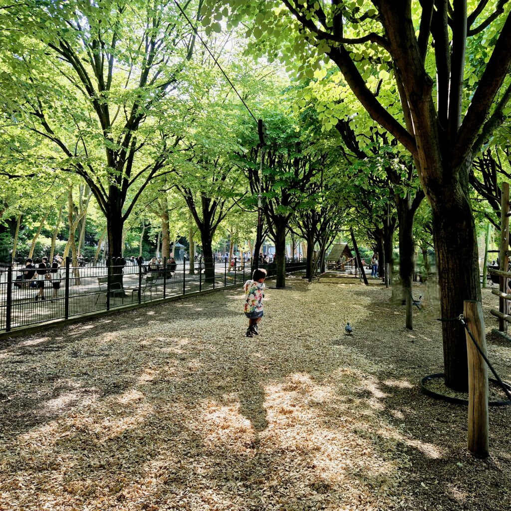 Paris-Jardin-du-Luxembourg 2 - Away with Ray